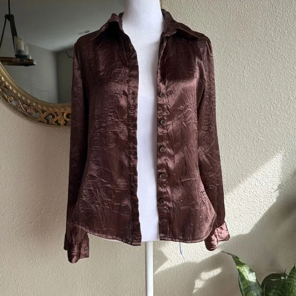 Anxiety Silk Brown Button up Blouse - Picture 2 of 5